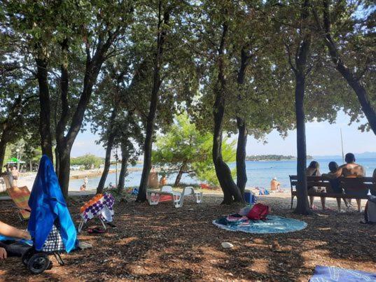 Apartments Summer Touch ペトルチャネ エクステリア 写真